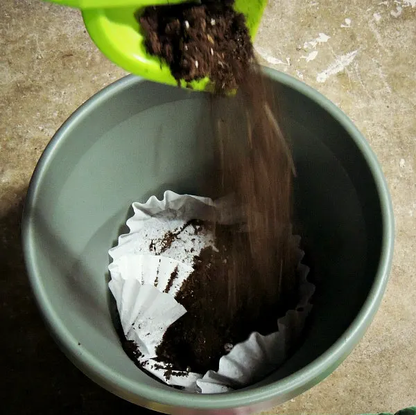 Coffee filter in planter