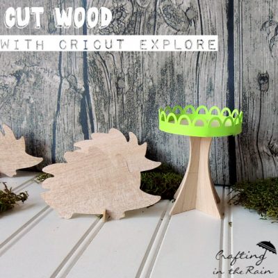 Wood Hedgehog Place Cards and Cupcake Stand