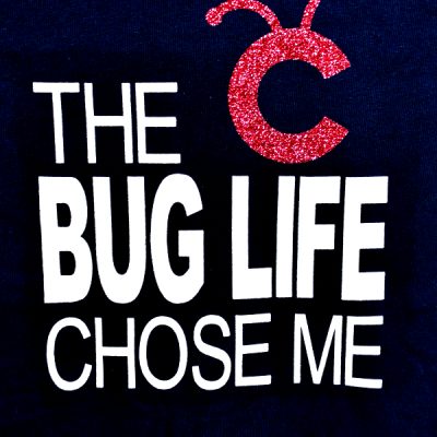 The Bug Life (Cricut Project)