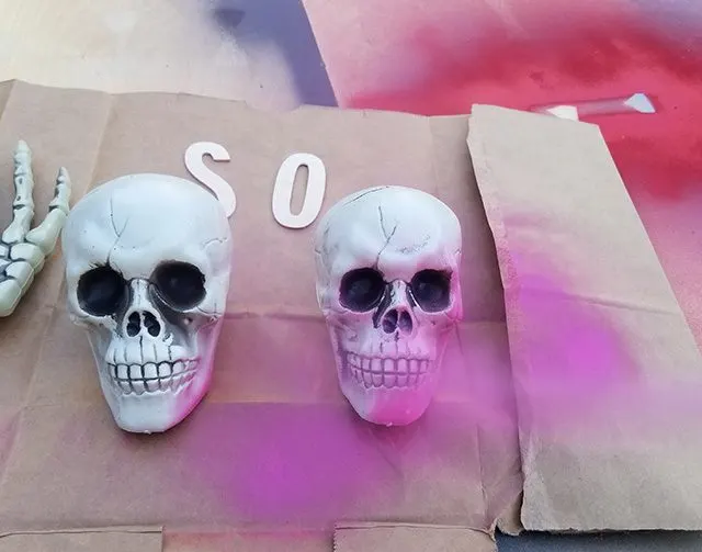 spray paint dollar store skull