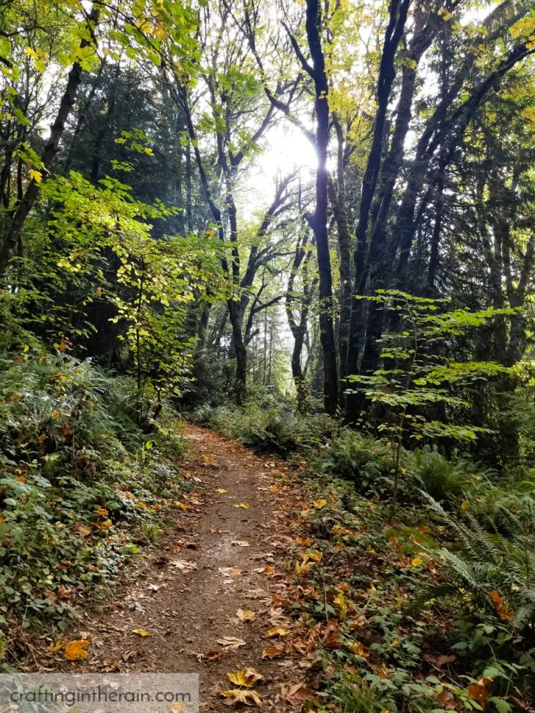 Whipple Creek Trails Washington