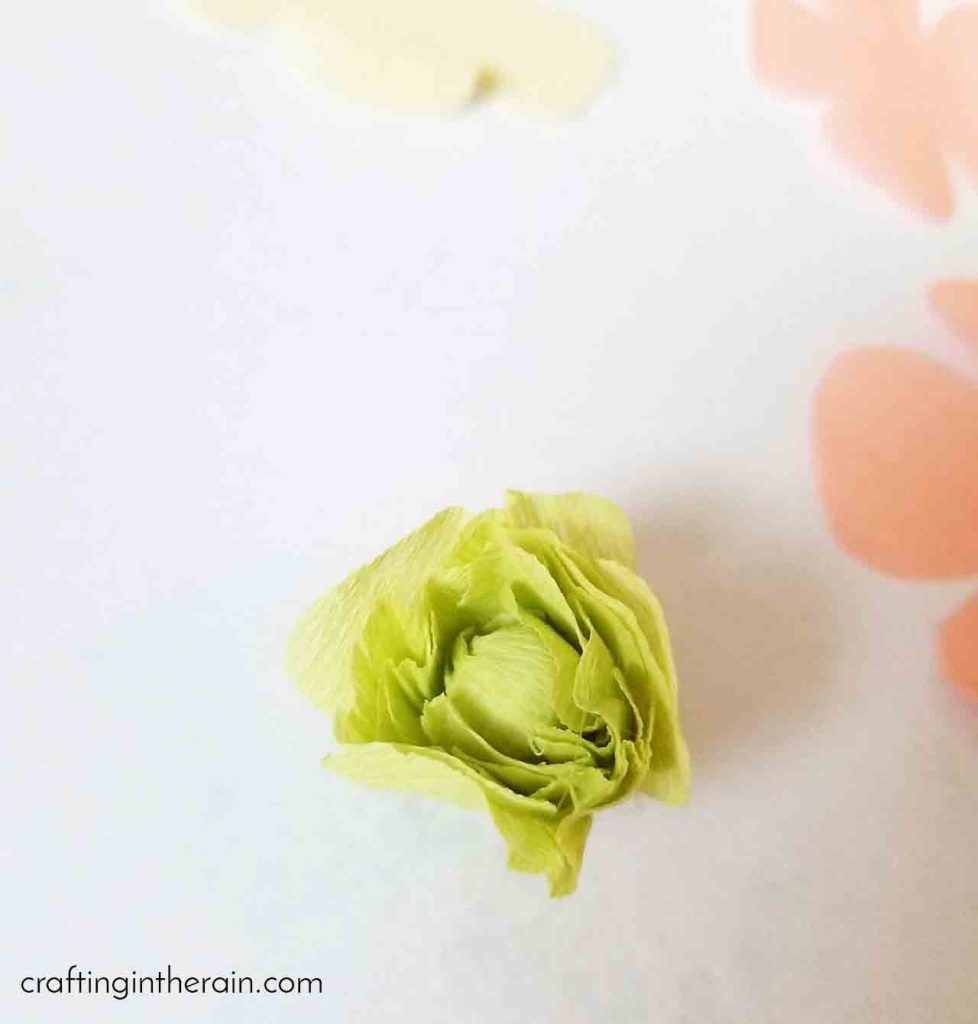 Crepe paper ranunculus