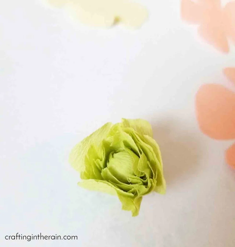 Crepe paper ranunculus