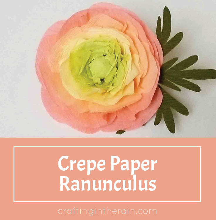 Crepe paper Ranunculus tutorial