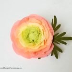 How to Make Crepe Paper Ranunculus How to Make Crepe Paper Ranunculus