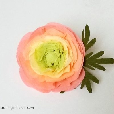 How to Make Crepe Paper Ranunculus