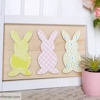 Framed bunny art