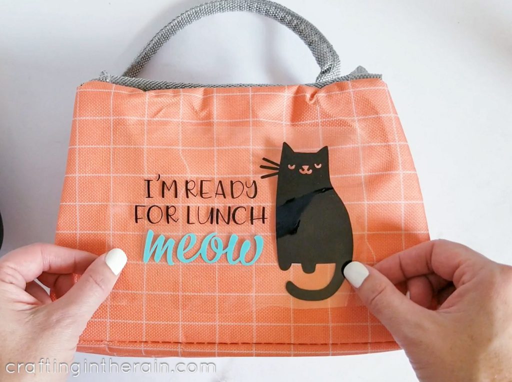 Funny cat lunch box