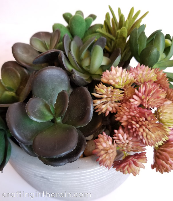 Do faux succulents look real