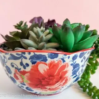 Succulents pioneer woman bowl