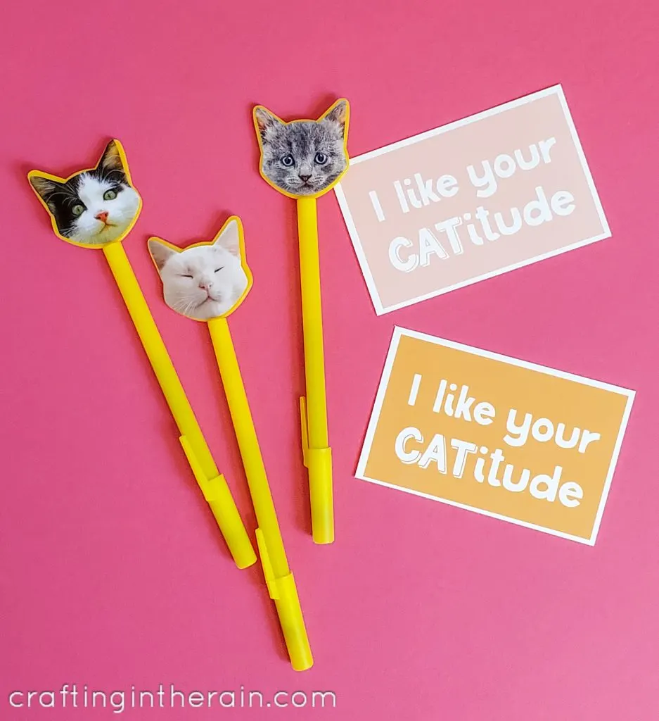 Cat pens with valentines