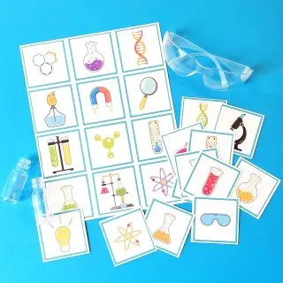 Science lab matching game