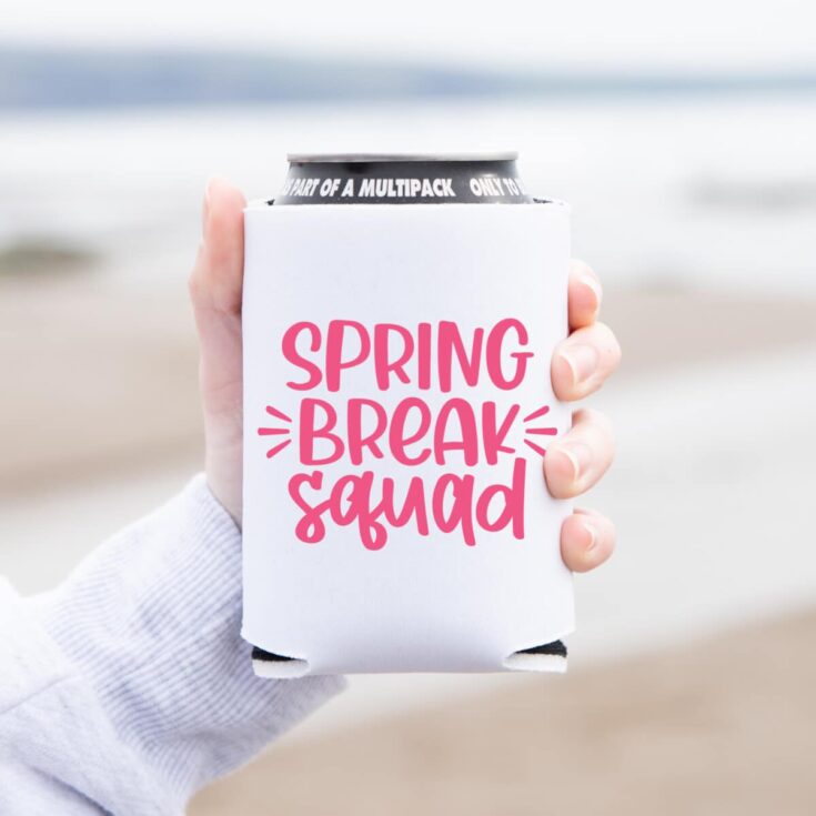 Image for Spring Break Squad SVG Cut File