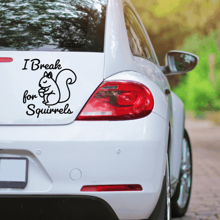 Image for Free &ldquo;I Break for Squirrels&rdquo; Car Decal SVG