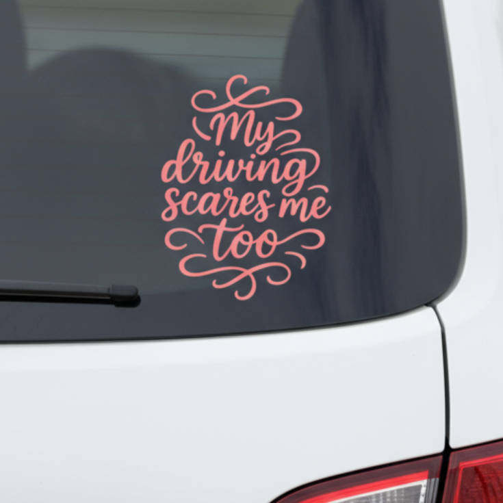 Image for My Driving Scares me Too SVG
